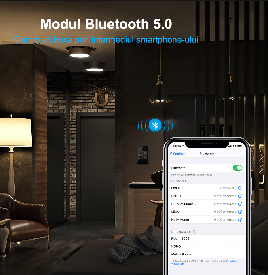 Modul Difuzor Bluetooth Livolo 6
