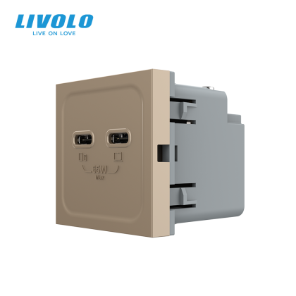 Modul priza dubla 2 x USB tip C, 2M, 65W, Livolo
