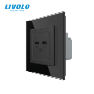 Priza dubla 2 x USB tip C, 65W, cu rama din sticla, Livolo