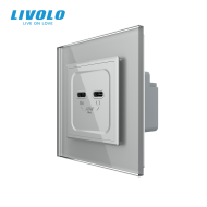 Priza dubla 2 x USB tip C, 65W, cu rama din sticla, Livolo