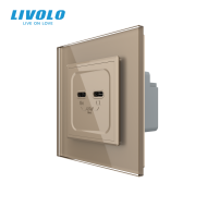 Priza dubla 2 x USB tip C, 65W, cu rama din sticla, Livolo