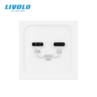 Modul priza dubla 2 x USB tip C, 2M, 65W, Livolo