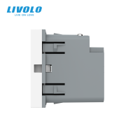Modul priza dubla 2 x USB tip C, 2M, 65W, Livolo