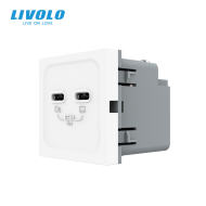 Modul priza dubla 2 x USB tip C, 2M, 65W, Livolo