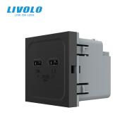 Modul priza dubla 2 x USB tip C, 2M, 65W, Livolo