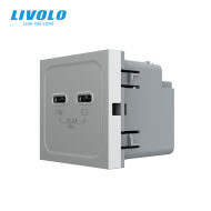 Modul priza dubla 2 x USB tip C, 2M, 65W, Livolo